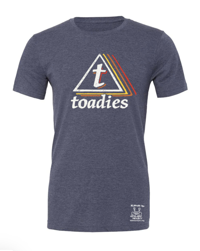 Toadies X Hi How Are You Project